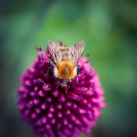 Апартаменты Tiny House Kotten Kunterbunt