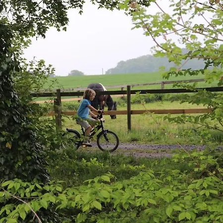Tiny House Kotten Kunterbunt