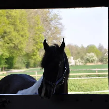 Tiny House Kotten Kunterbunt Ноттульн