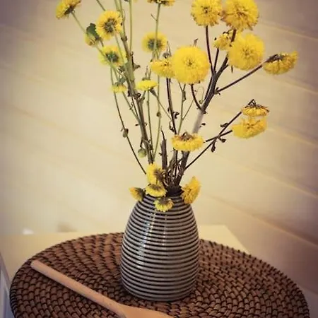 Tiny House Kotten Kunterbunt Apartment *