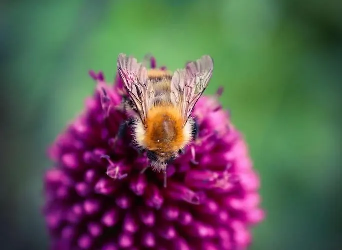 Apartmán Tiny House Kotten Kunterbunt