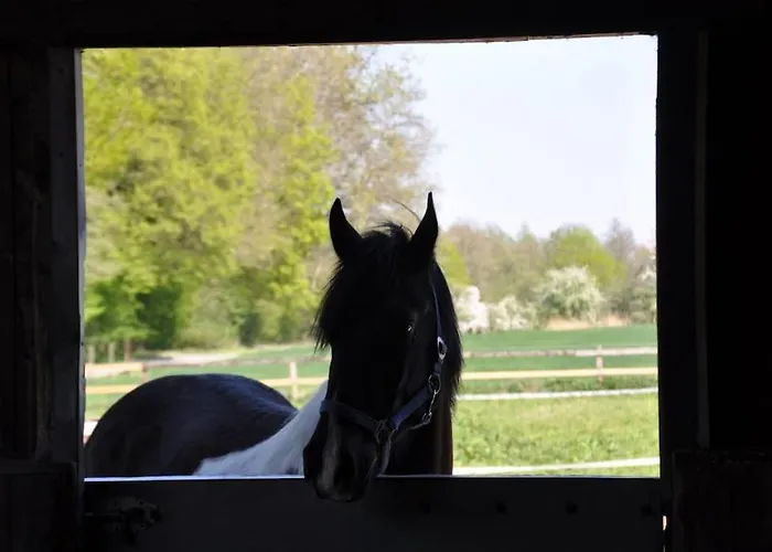 Tiny House Kotten Kunterbunt Nottuln