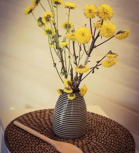 Tiny House Kotten Kunterbunt Apartament *